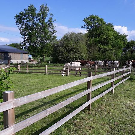 Roulotte A La Ferme Buissonniere Villa La Lande-de-Louge Exterior photo